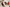 Astaxanthin Supplements: Forms, Quality, and Why Kanin Chose a Shot